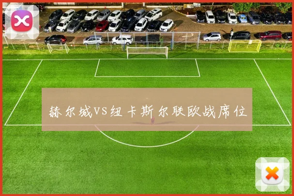 赫尔城vs纽卡斯尔联欧战席位